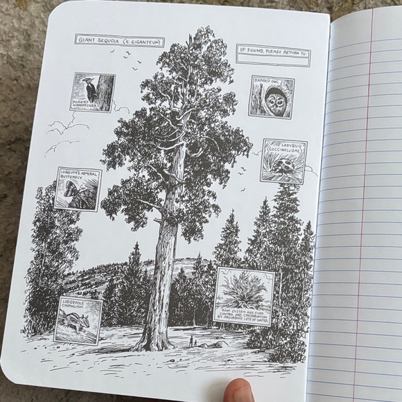 Decomposition notebook - Picture 2 of 5